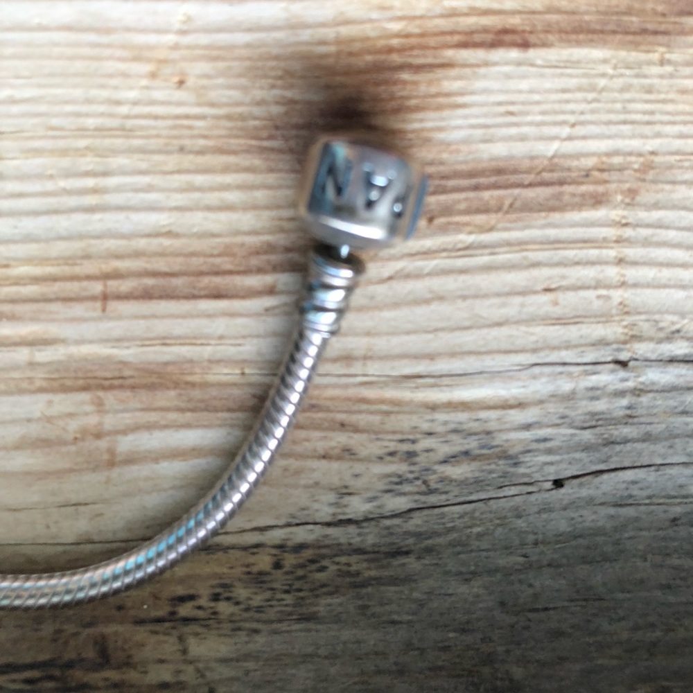 Pandora Bracelet with Charms
